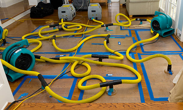 Professional Sewage Cleanup technician working in Johnson City, KS